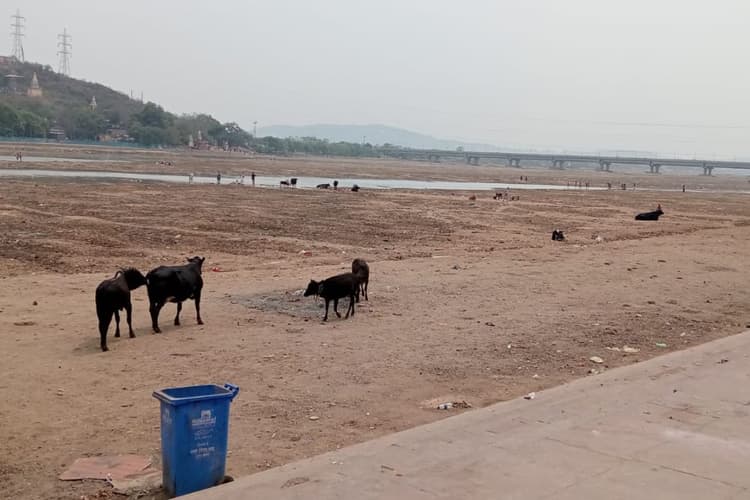 324 करोड़ रुपये खर्च करने के बाद भी शाप से मुक्त नहीं हुई फल्गु, संस्कृति के साथ छेड़छाड़ का दिख रहा दुष्परिणाम