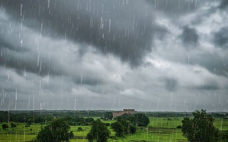 Bihar Rain Alert: बिहार में पटना समेत 13 जिलों में अगले 3 घंटे होगी भयंकर बारिश, IMD ने जारी किया येलो अलर्ट