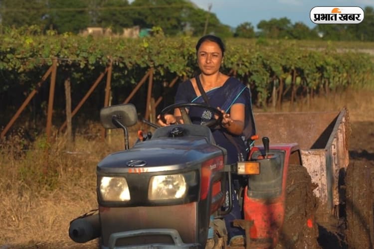 Success Story: पति और बेटे को खोया, फिर भी हार नहीं मानी, संगीता ने शुरू की खेती और खड़ा किया लाखों का बिजनेस