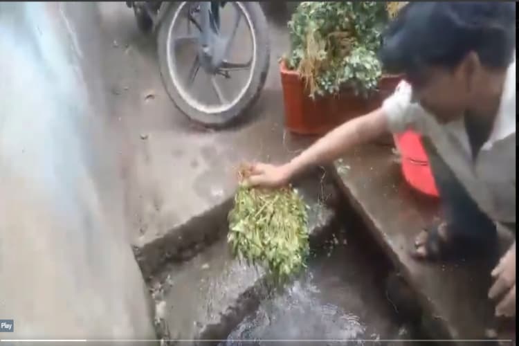 Viral Video: सब्जियों को नाली में धोकर बेच रहा था शख्स, देखें वीडियो वायरल
