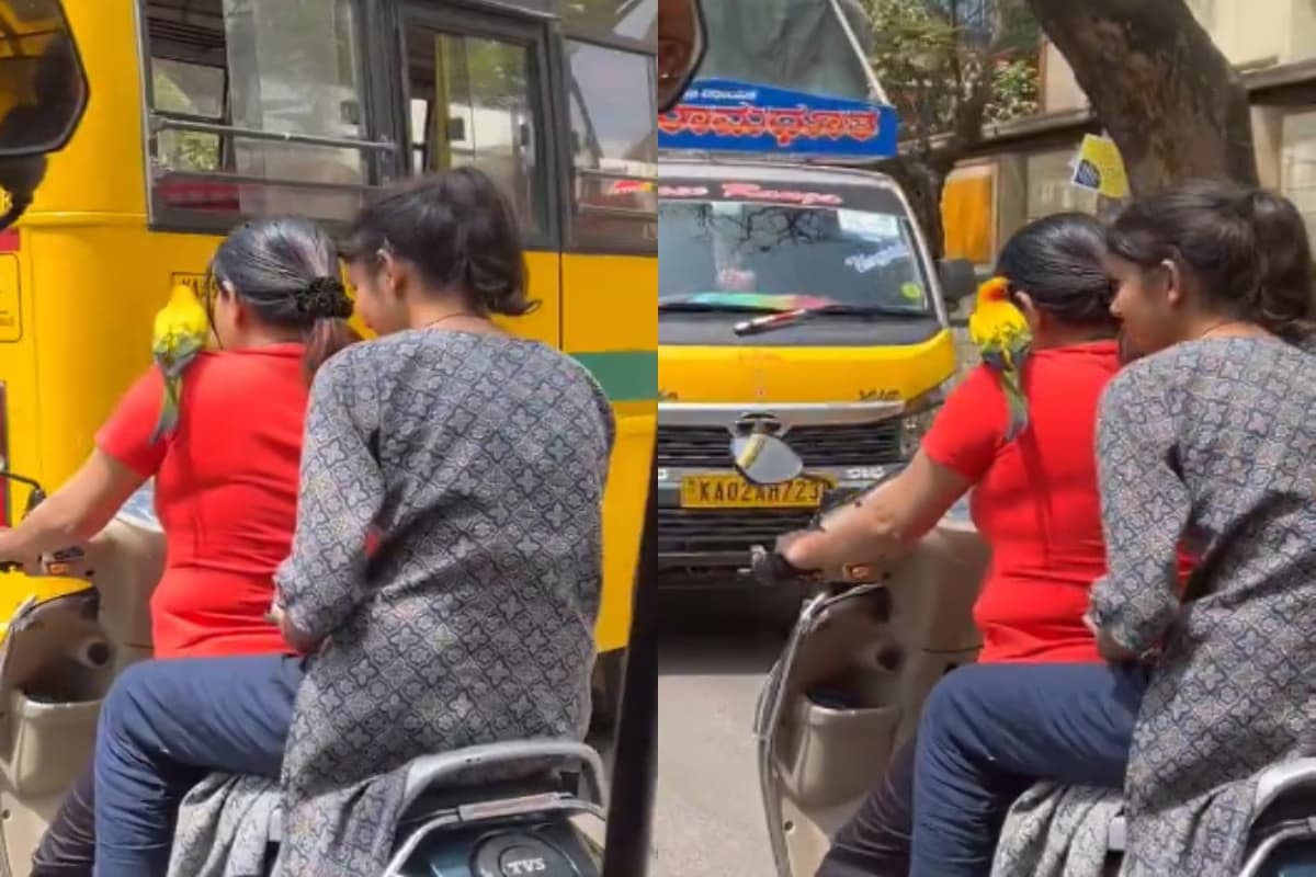 Woman Rides Scooty WithOut Helmet With Parrot Video Viral
