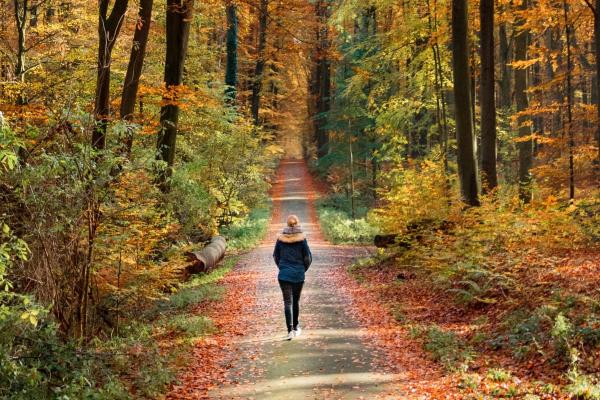 Heath Tips: सिर्फ आधे घंटे ब्रिस्क वॉक करने से दूर हो सकती है कई समस्याएं, फायदे जान गए तो अभी निकल पड़ेंगे आप