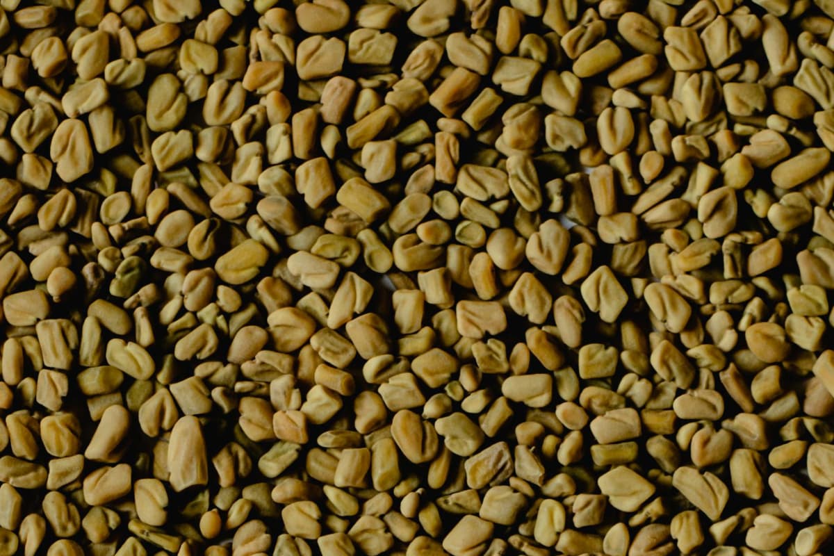 Health Tips: सोने से पहले जाकर भिगो दें ये चमत्कारी बीज, सुबह चबाते ही सेहत को होंगे जबरदस्त फायदे