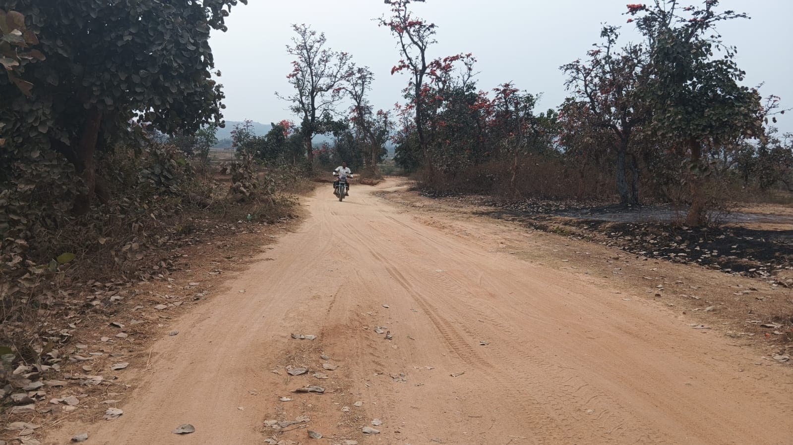 Bokaro News : शिलान्यास के ढाई साल बाद भी शुरू नहीं हुआ पथ निर्माण, आवागमन में परेशानी