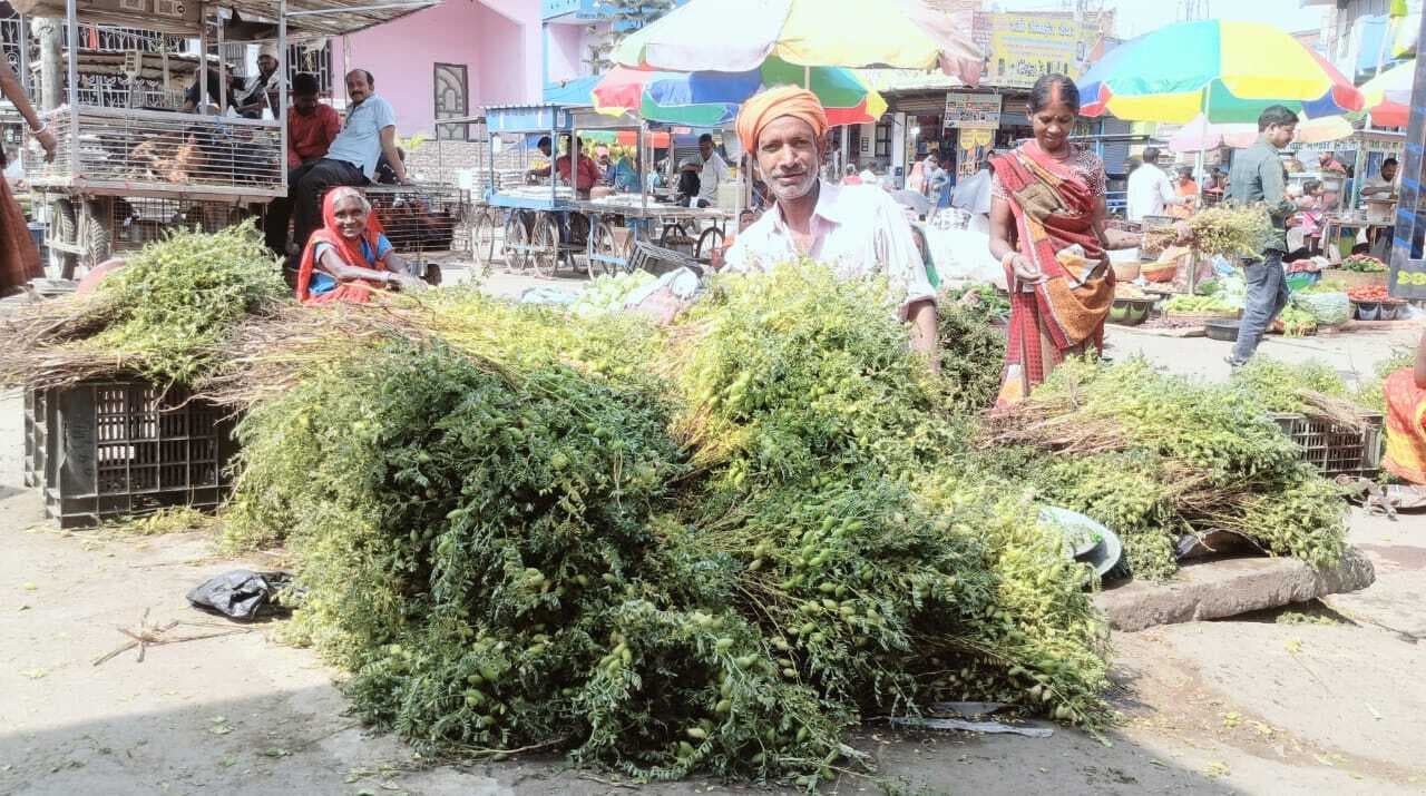 चना की खेती कर अच्छी आमदनी प्राप्त कर रहे हैं किसान