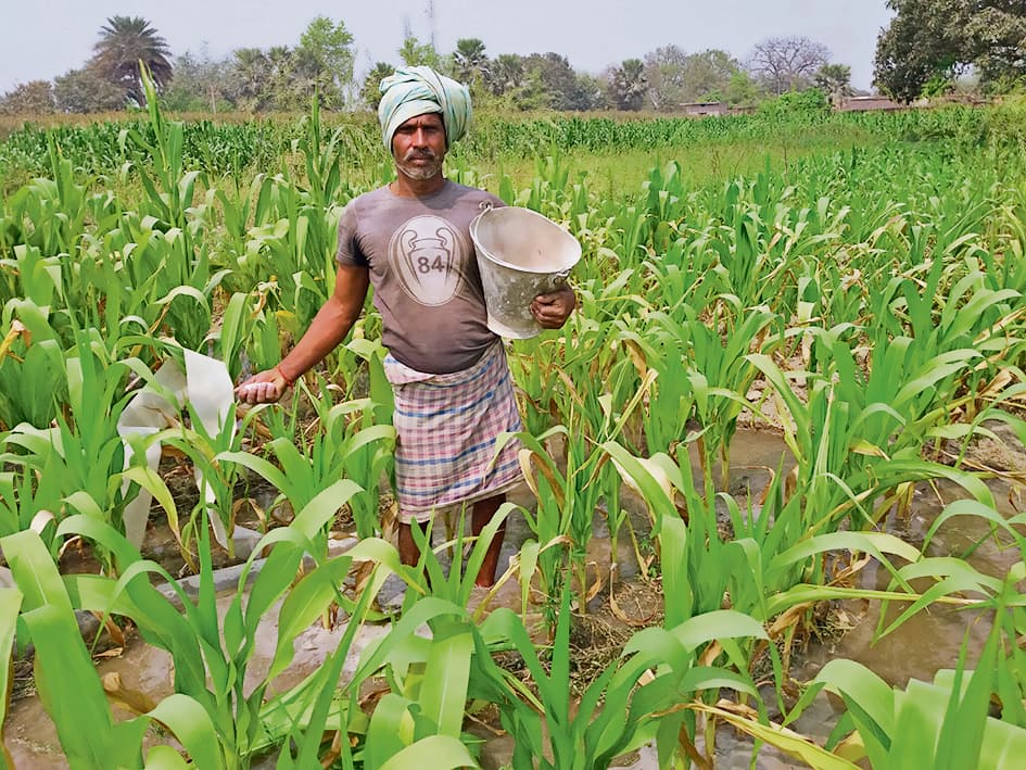 Saran News : मार्च की शुरुआत में ही तापमान 30 डिग्री पार, किसान चिंतित
