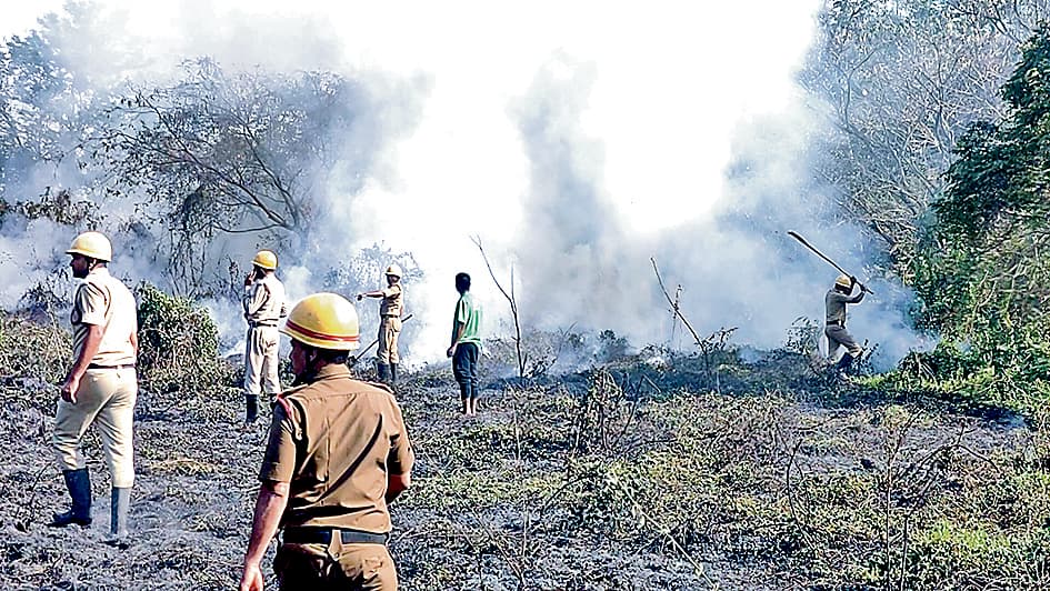 महिला कॉलेज परिसर की झाड़ी में अगलगी