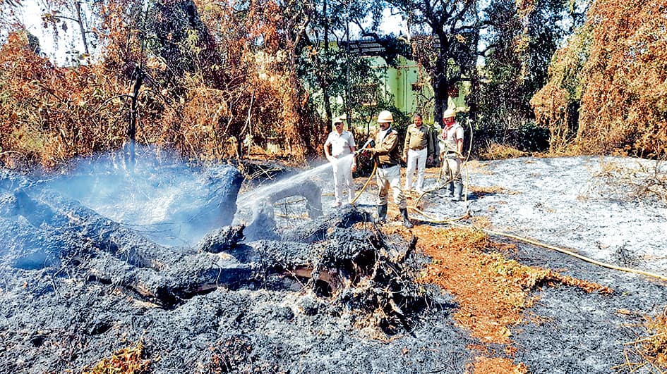 अंदर चल रही थी उच्च माध्यमिक परीक्षा बाहर स्कूल मैदान में जलने लगा सूखा पेड़