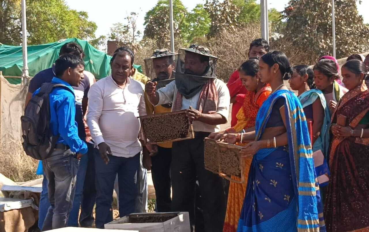 किसानों को मधुमक्खी पालन की दी गयी जानकारी