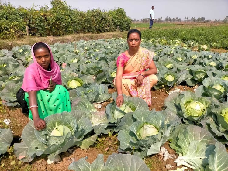 सब्जी की खेती कर बिलाली बनीं आत्मनिर्भर, लोगों को कर रहीं प्रेरित