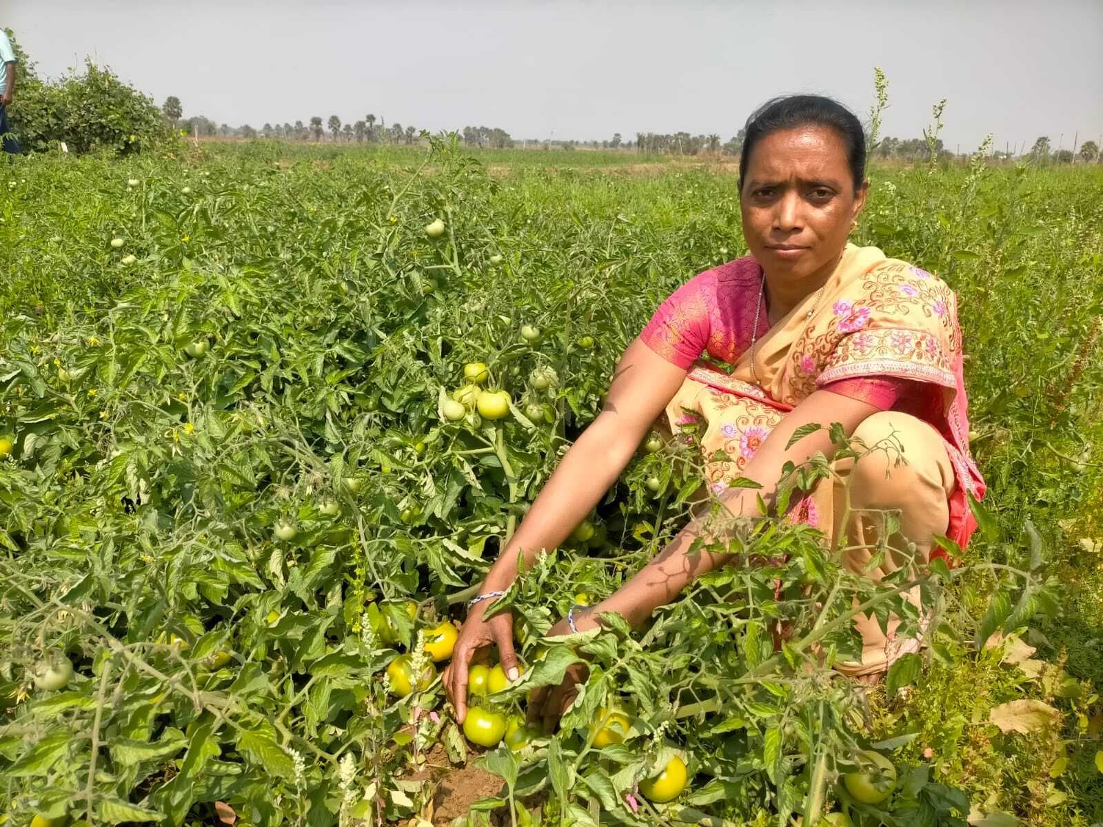 बिलाली किस्कू सब्जी की खेती कर दूसरों को भी कर रहीं प्रेरित