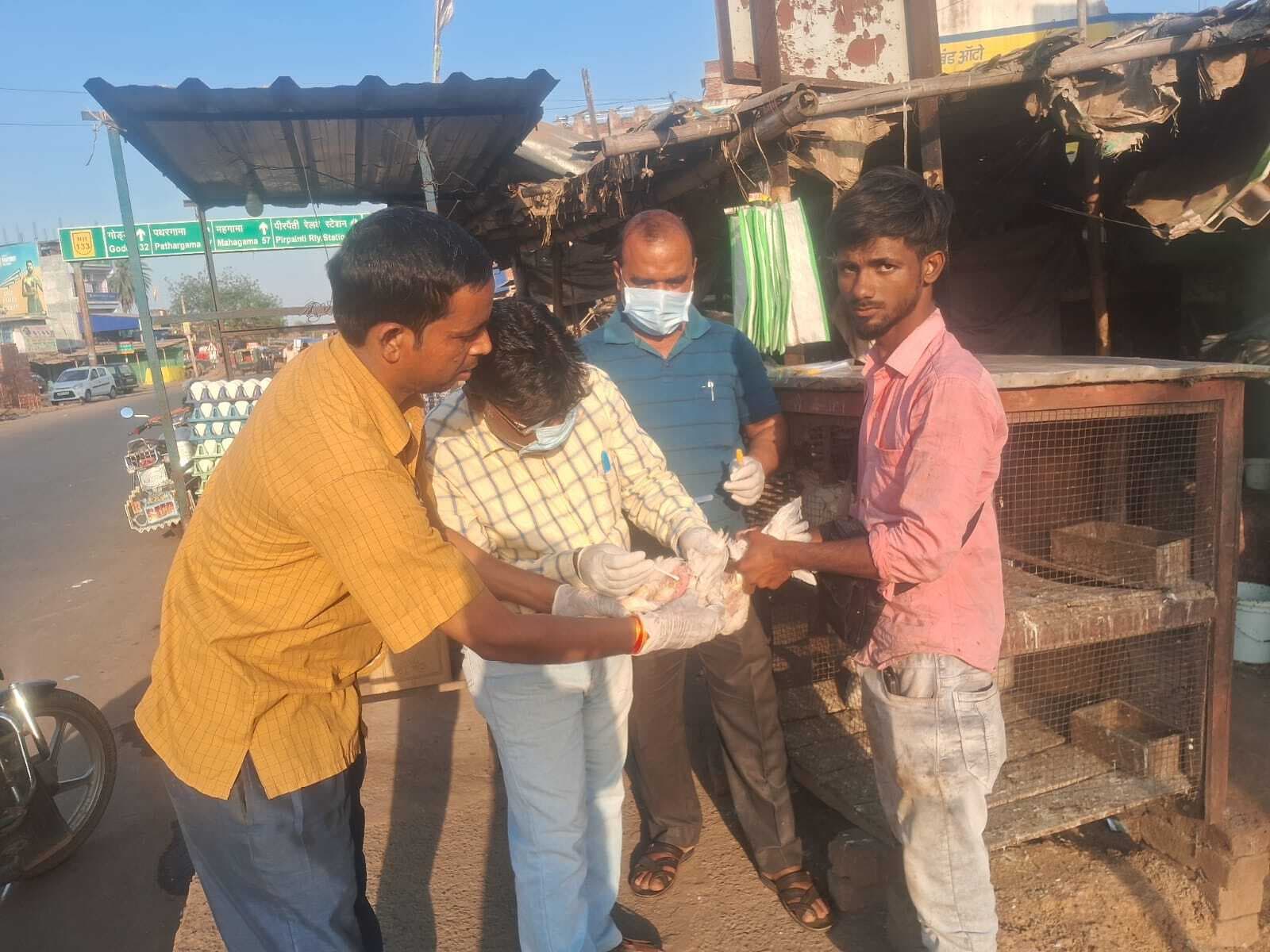 भागलपुर में बर्ड फ्लू का पॉजिटिव केस मिलने के बाद अलर्ट