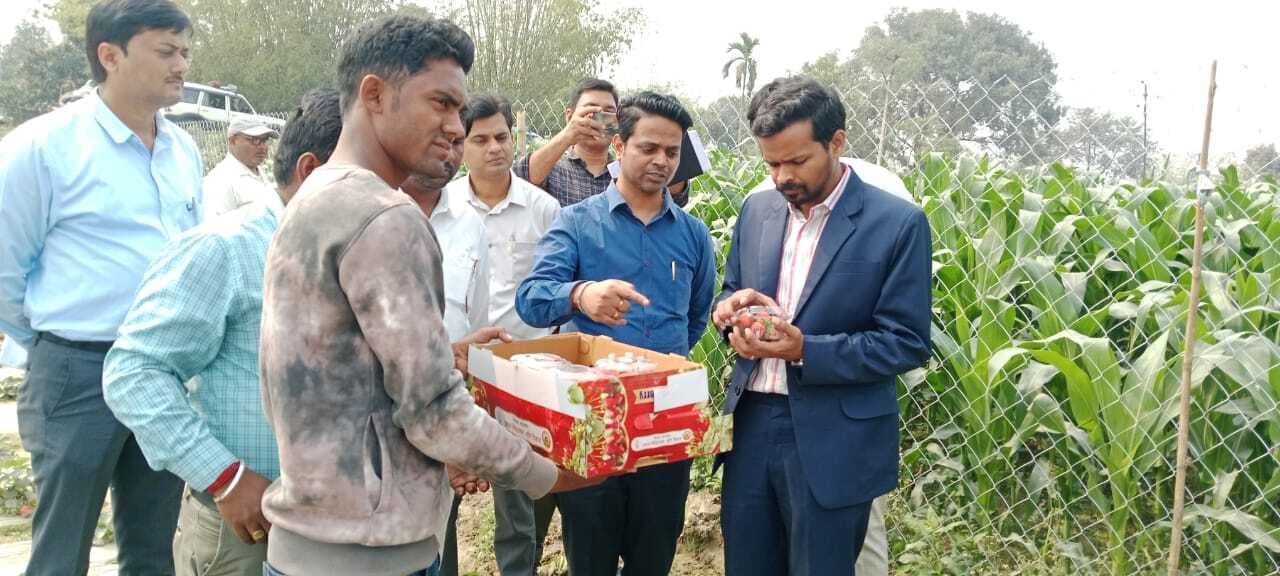 डीएम ने स्ट्रॉबेरी की खेत का किया निरीक्षण, किसानों से की बात