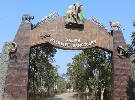 Jamshedpur News : दलमा बनेगा ब्रांड, आम जनता भी दे सकते हैं टैगलाइन, विजेता को मिलेगा इनाम