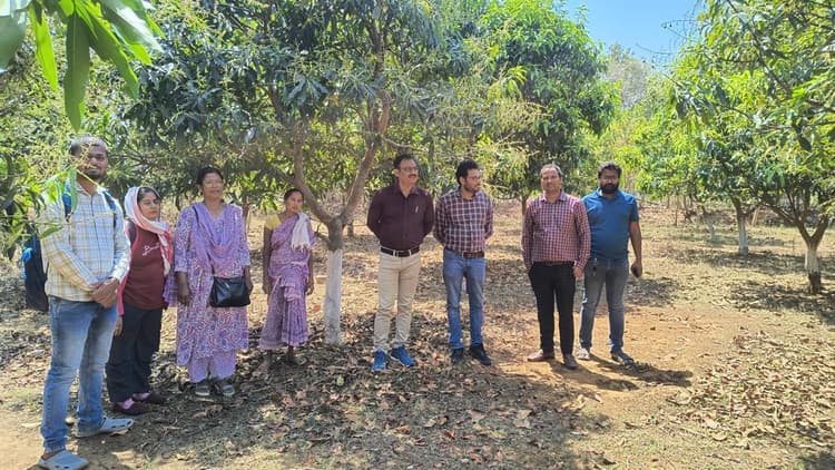 सोलर लिफ्ट सिंचाई प्रणाली से आत्मनिर्भर होंगे किसान