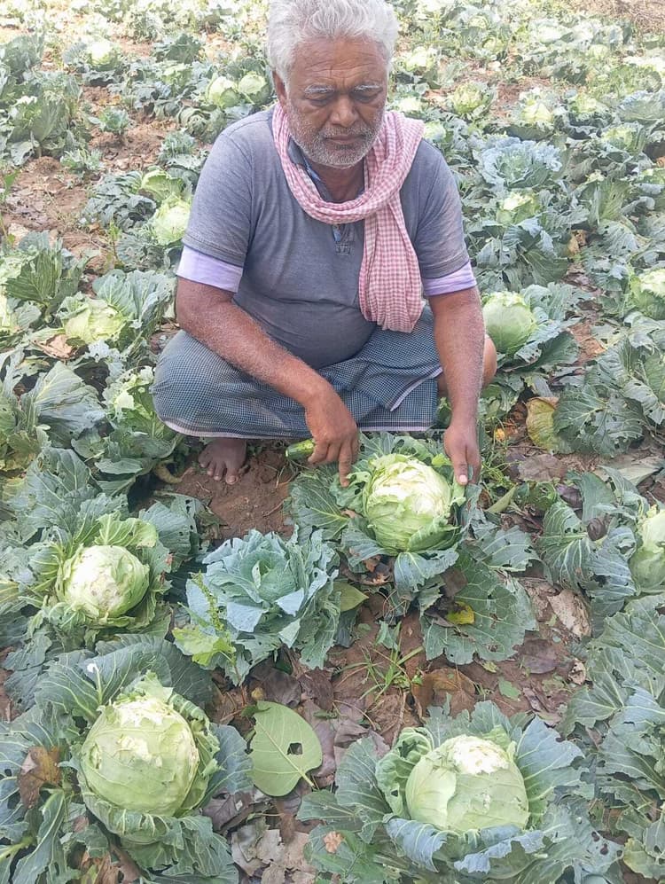 East Singhbhum News : ओलावृष्टि से सब्जियां बर्बाद, खेतों में सिर पकड़कर बैठ रहे किसान