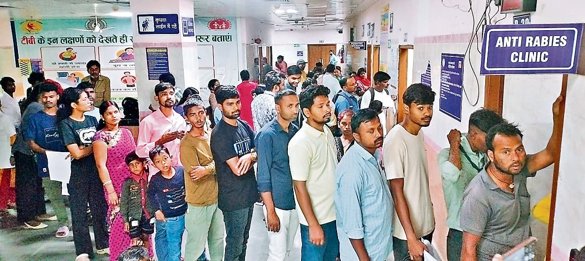 Ranchi News : एक दिन में 539 लोगों ने एंटी रैबीज का इंजेक्शन लिया, इसमें 85 पहली बार वाले