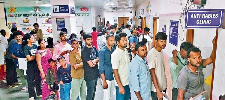 Ranchi News : एक दिन में 539 लोगों ने एंटी रैबीज का इंजेक्शन लिया, इसमें 85 पहली बार वाले