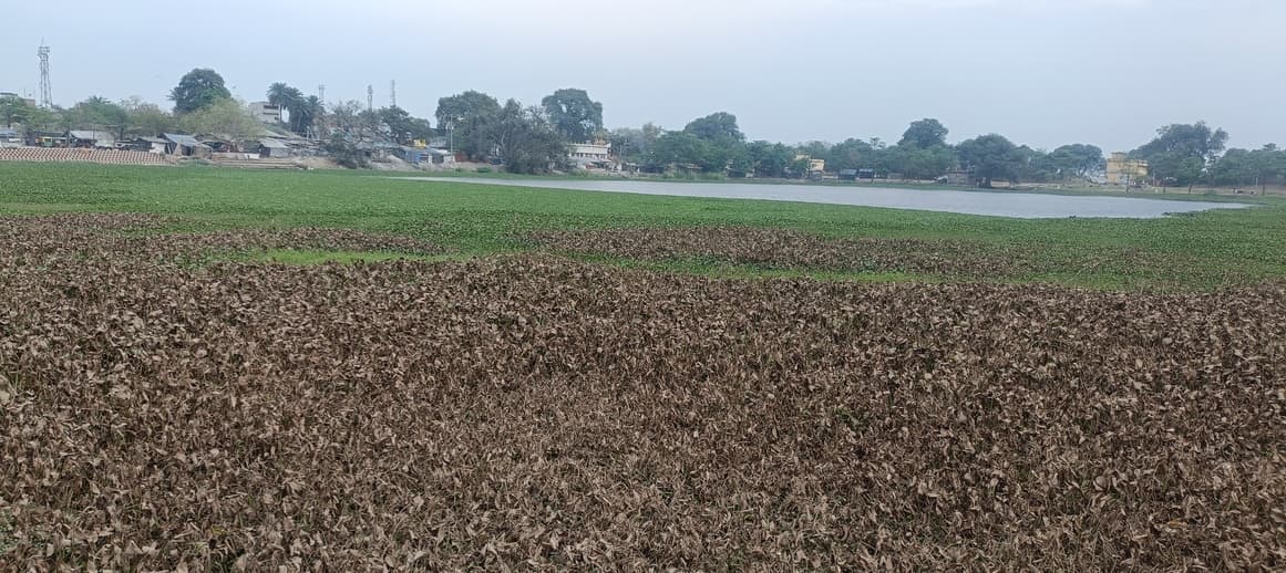 सरकारें बदलती रही, मगर ऐतिहासिक तालाब की नहीं बदली तस्वीर