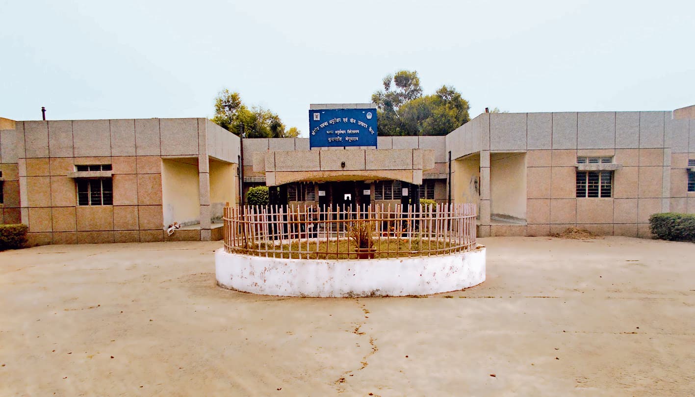 बेगूसराय में ही रहेगा मक्का अनुसंधान केंद्र : कृषि मंत्री