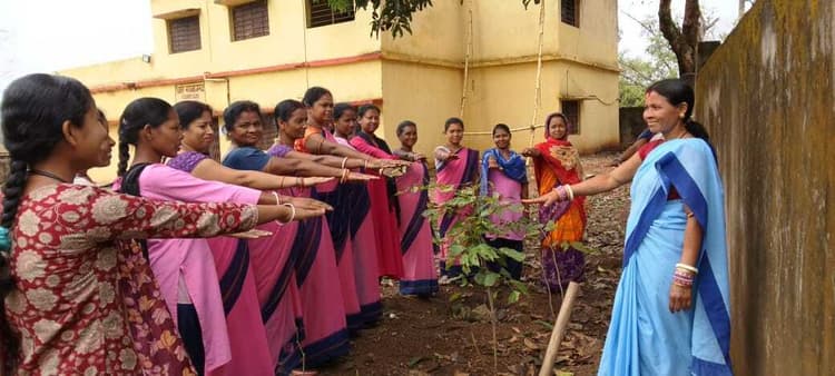 Chaibasa News : छोटे-छोटे बांध बना 20 वर्षों से वर्षा जल संचय कर रहे ग्रामीण, आय बढ़ी, पानी की नहीं होती किल्लत