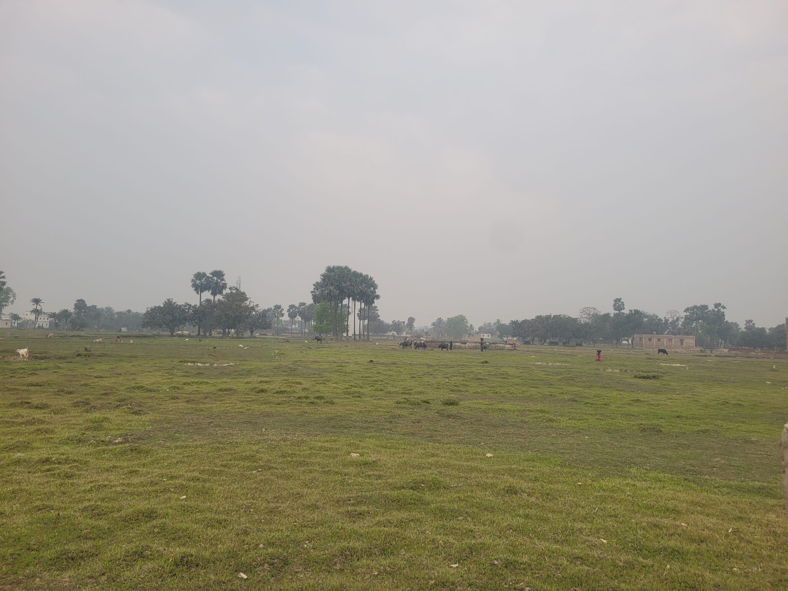 Madhubani News : तेज हवा से आम के मंजर को नुकसान, हल्की बू्ंदाबांदी