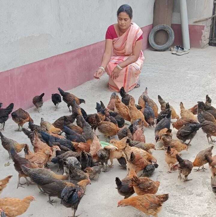 मुर्गी पालन से आत्मनिर्भर बन रही आदिवासी महिलाएं, सालाना डेढ़ लाख रुपये कर रही आमदनी