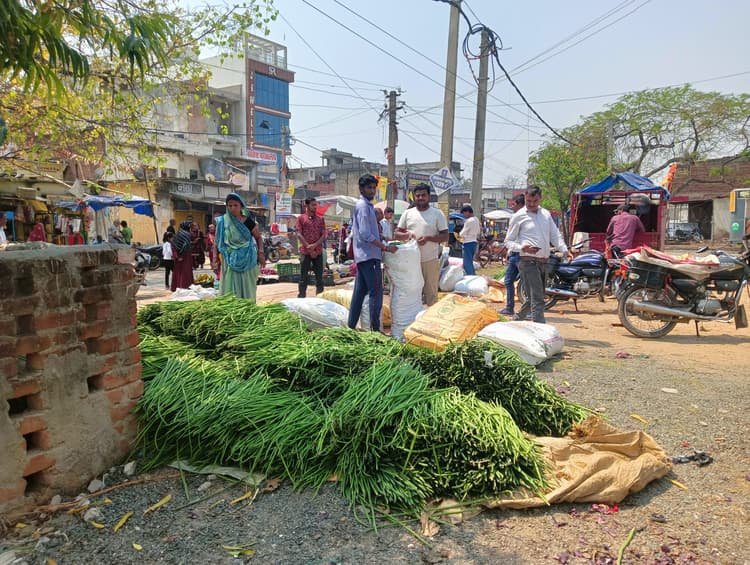 Giridih News :सहजन की फली से पटा सब्जी मंडी सरिया