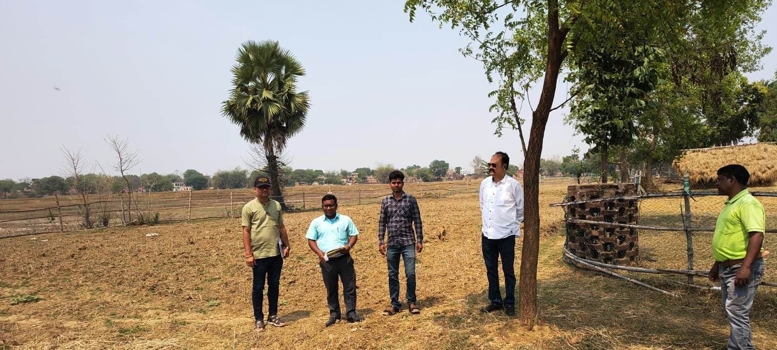 बीडीओ ने बिरसा हरित ग्राम योजना का लिया जायजा