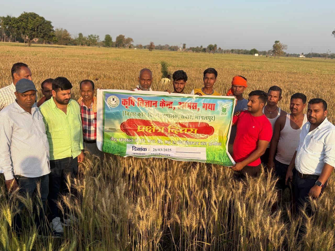 पलकिया गांव में गेहूं की फसल में प्रक्षेत्र दिवस का आयोजन