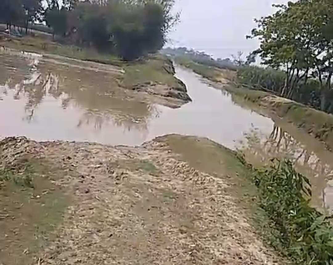 नहर में छोड़ा पानी, दर्जनों एकड़ में लगी फसल प्रभावित