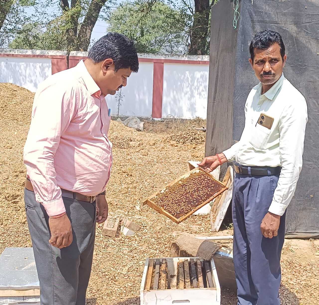 किसानों ने जाना मधुमक्खी पालन की विधि