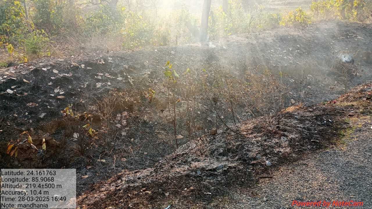 Giridih News :मंधनिया जंगल में लगी आग, वन विभाग की टीम ने पाया काबू