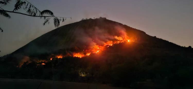 मंदार पर्वत के जंगलों में लगी भीषण आग बुझाने का हो रहा प्रयास