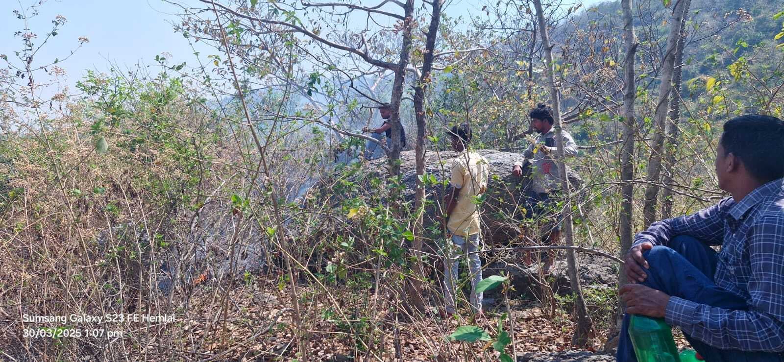 Giridih News :जिरामो पहाड़ के जंगल में लगी आग, युवकों ने बुझायी