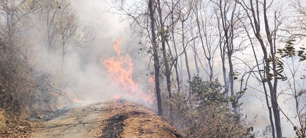 Bokaro News : धधक रहे कसमार-जरीडीह के जंगल