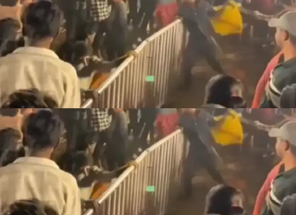 Bihar Diwas: बेगूसराय में तृप्ति शाक्या के शो के दौरान हंगामा, जमकर चली कुर्सियां