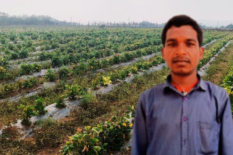 Success Story: बंजर भूमि पर सब्जी उगाकर स्वरोजगार की नयी राह दिखा रहे जयप्रकाश महतो