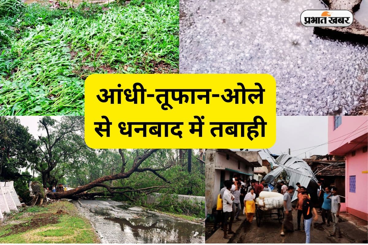 Watch Video: धनबाद में आंधी-पानी, ओलावृष्टि से तबाही, दर्जनों पेड़ गिरे, छप्पड़ उड़े, बिजली गुल