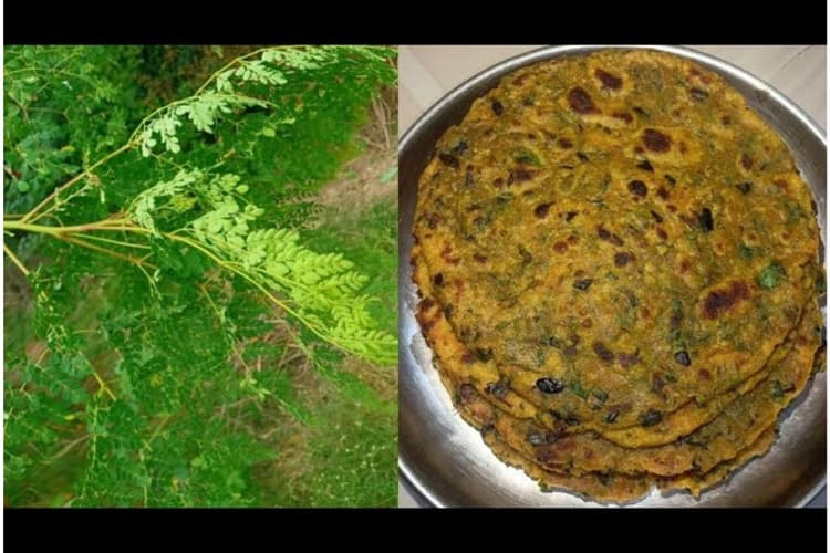 Moringa Paratha Recipe: सहजन के पत्तों से बनाएं टेस्टी और हेल्दी पराठा,नोट करें रेसिपी