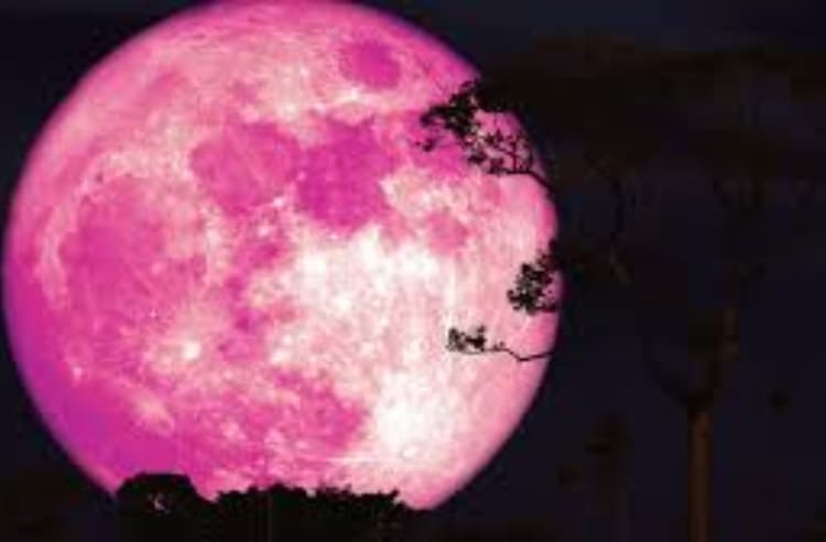 चांदनी रात में दिखेगा खास नजारा, जानिए ‘पिंक मून’ को देखने का सही समय और जगह