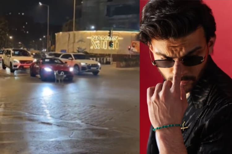 बॉलीवुड के इस एक्टर की 3.8 करोड़ की कार के पीछे पड़ा कुत्ता, वीडियो हो रहा है वायरल