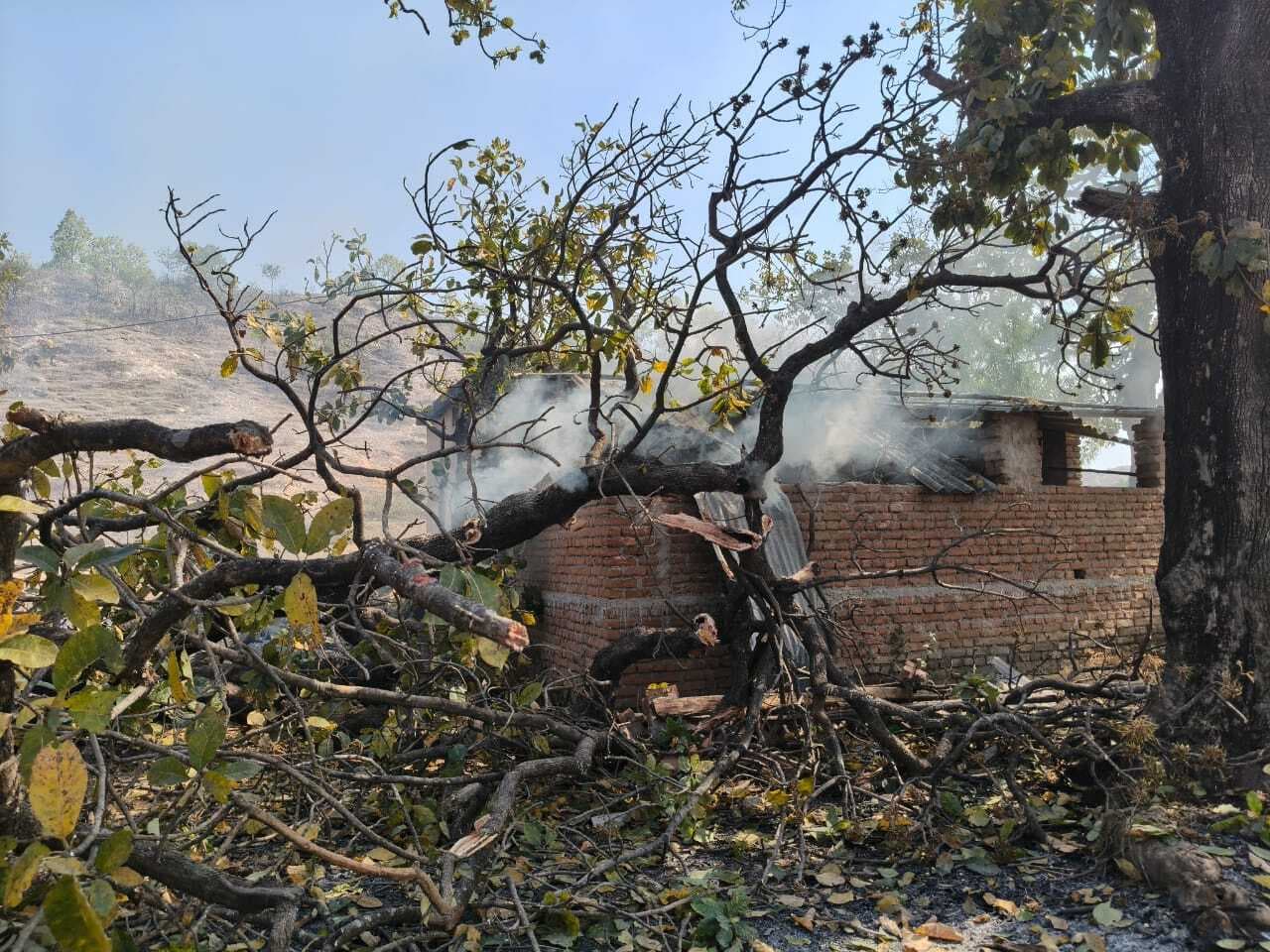 Giridih News :घर में लगी आग, सामान हुआ राख