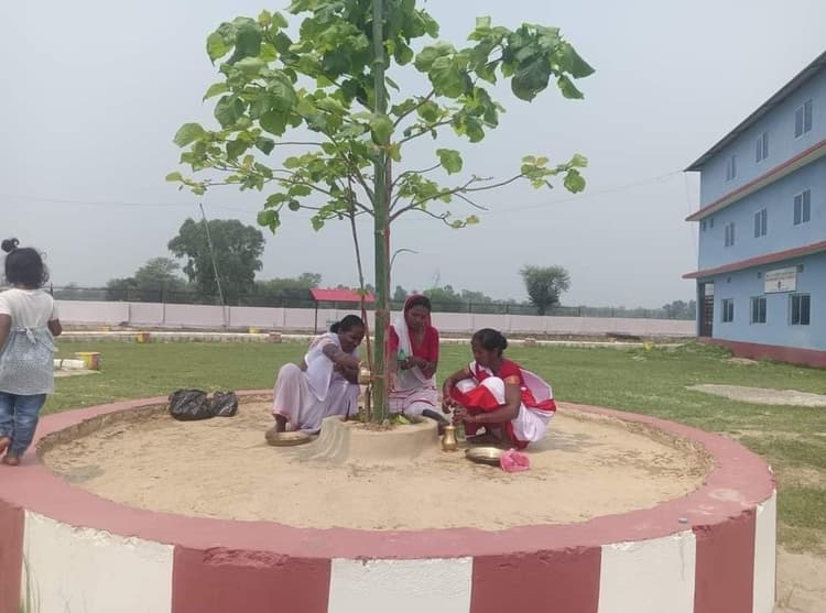 sarhul : नेपाल में खद्दी पर्व यानी सरहुल पर होता है उत्साह, बांग्लादेश में सादगी से मनेगा