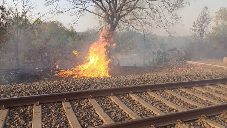 पटरी के समीप आग लगने से ट्रेन परिचालन प्रभावित