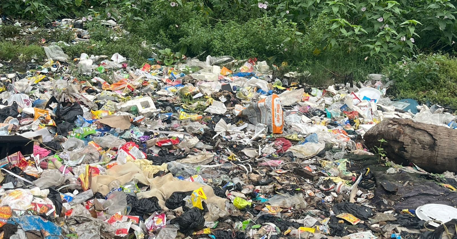 थर्मोकोल प्लेटों व प्लास्टिक ग्लास के चलन से प्रदूषण के साथ स्वास्थ्य के लिए भी खतरा