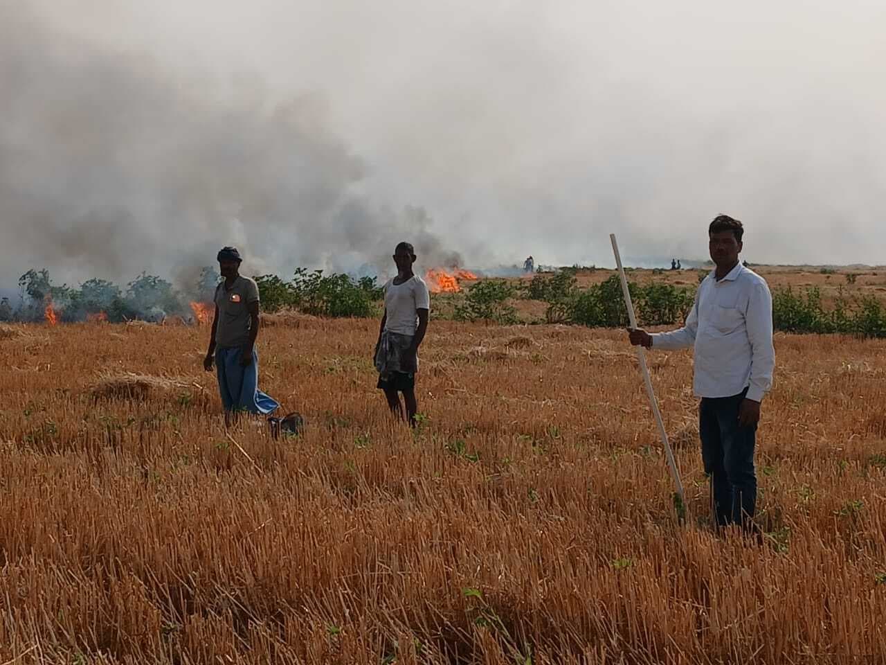 खेतों में लगी आग, 100 बीघे में लगी फसल जलकर राख