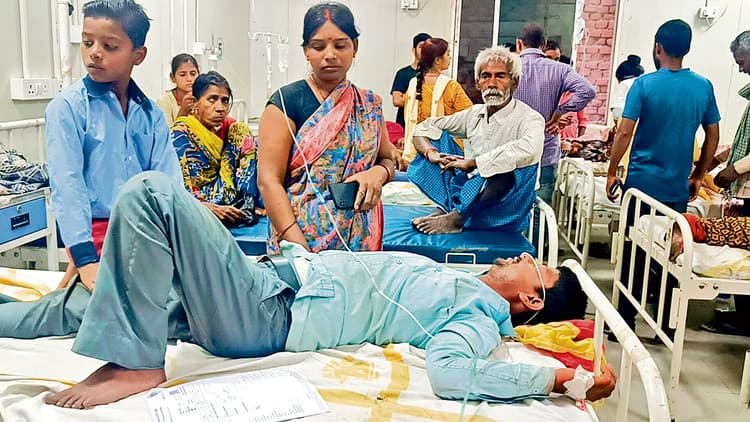 jehanabad News : श्रद्धालुओं पर मधुमक्खियों ने किया हमला, 20 जख्मी