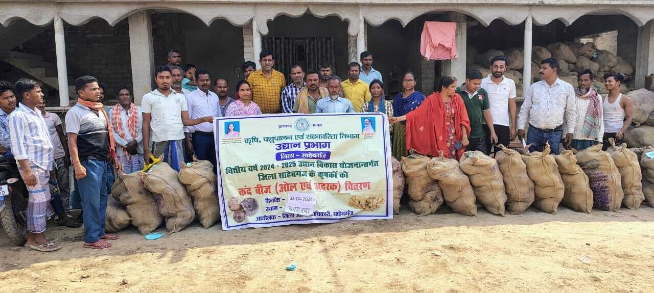 ओल की खेती से किसानों की आर्थिक स्थिति होगी मजबूत : प्रखंड प्रमुख