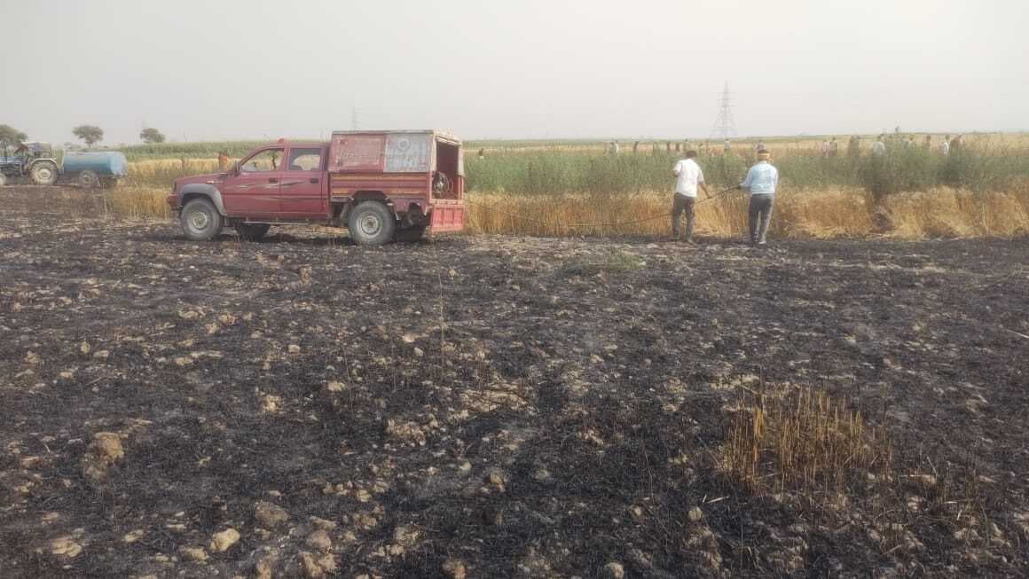 पतलापुर दियारा में 10 बीघा गेहूं की फसल जली